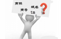 “.商標(biāo)”、“.TM”，域名商標(biāo)界的真假美猴王