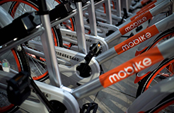 引證商標(biāo)被撤三！摩拜公司“MOBIKE”商標(biāo)注冊不具有在先注冊障礙