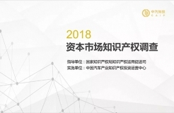 2018資本市場知識產(chǎn)權調查報告（PPT全文）