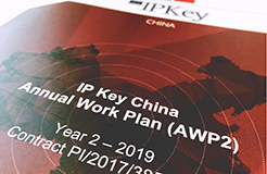 IP Key中國(guó)項(xiàng)目2019年度工作計(jì)劃公布！