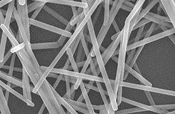 納米銀專利大戰(zhàn)開打：C3Nano與Cambrios鹿死誰(shuí)手未成定數(shù)(三)