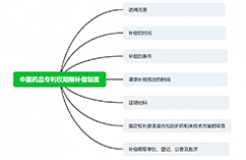 中國(guó)藥品專利權(quán)期限補(bǔ)償制度及解讀