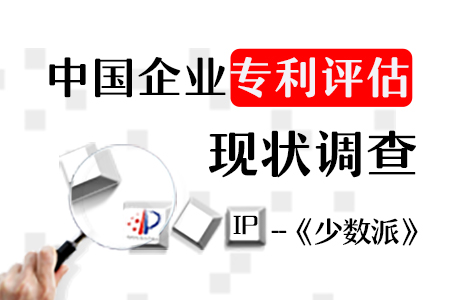 【少數(shù)派】中國(guó)企業(yè)“專利評(píng)估”現(xiàn)狀調(diào)查