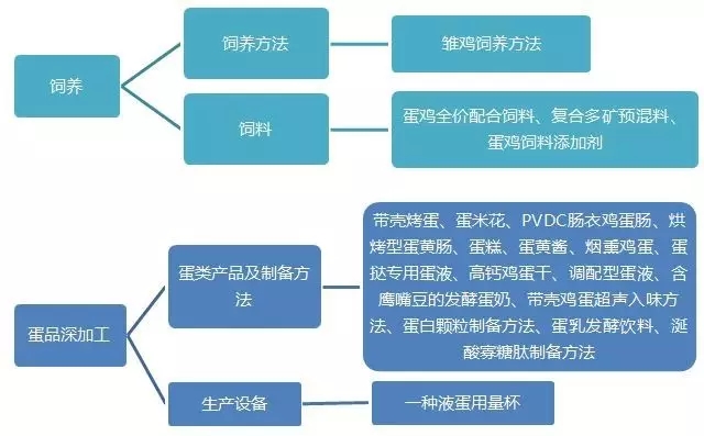 驚！「一枚雞蛋」背后的專利技術(shù)及布局策略