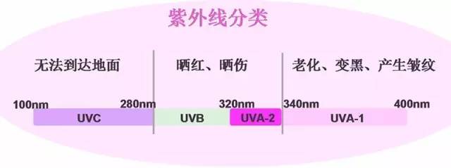 【科技情報】再不防曬就老了！