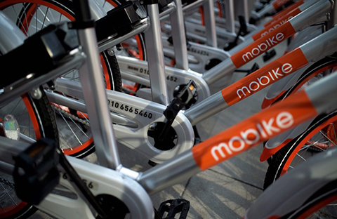 引證商標(biāo)被撤三！摩拜公司“MOBIKE”商標(biāo)注冊(cè)不具有在先注冊(cè)障礙