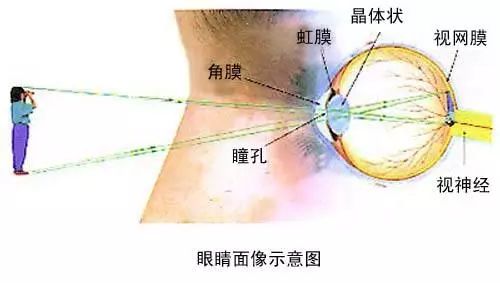 “滴了一年，最后瞎了”！一年賣7億的神藥曝驚人丑聞，延誤病情最終致盲？