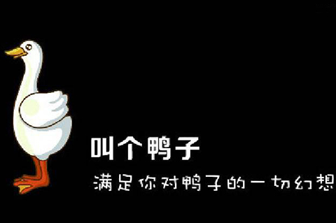 對“不良影響”條款適用的理解，基于“叫個鴨子”商標(biāo)案的評析