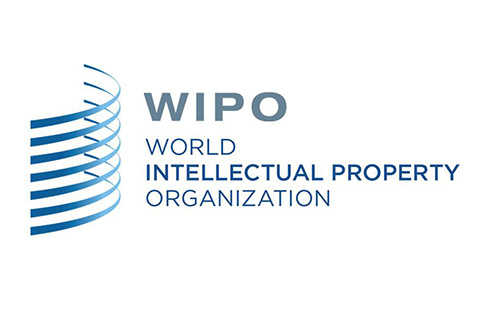 #晨報#WIPO 仲裁與調(diào)解中心成為中國國家頂級域名爭議解決機構(gòu)（自2019.8.1日起）