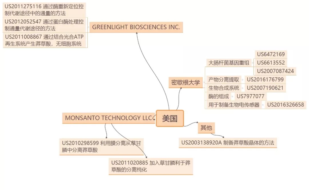 抗流感神器源起茴香八角？？？