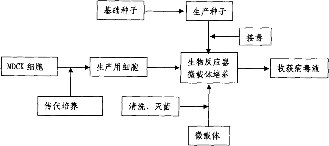 流感高峰期已到,請(qǐng)大家注意防范！——流感疫苗專利分析