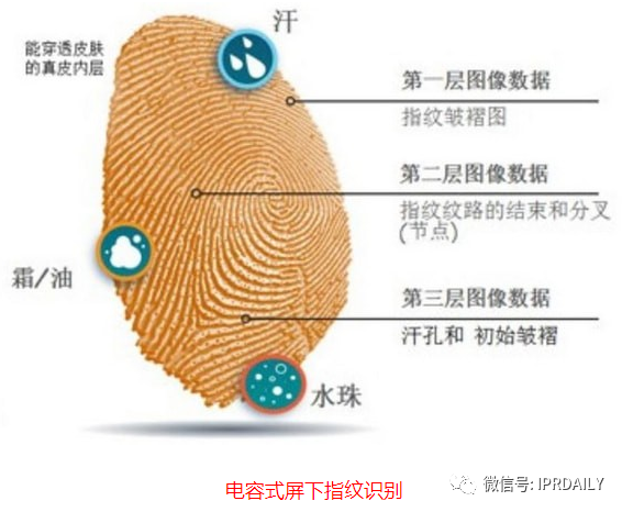 細(xì)分領(lǐng)域的專(zhuān)利代理-淺談光電顯示指紋識(shí)別技術(shù)