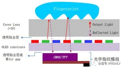 細(xì)分領(lǐng)域的專(zhuān)利代理-淺談光電顯示指紋識(shí)別技術(shù)