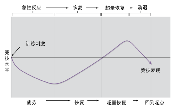 科技進(jìn)步如何讓跑步更輕松：盤點(diǎn)那些運(yùn)動(dòng)黑科技