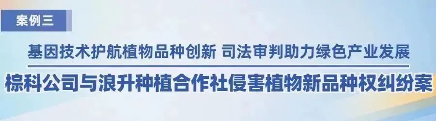 廣州知識產(chǎn)權(quán)法院2022年度十大典型案例