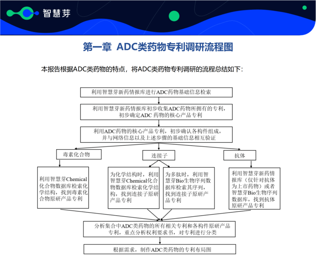 報告免費領(lǐng)取 | 第一三共DS-8201專利調(diào)研實務(wù)指南