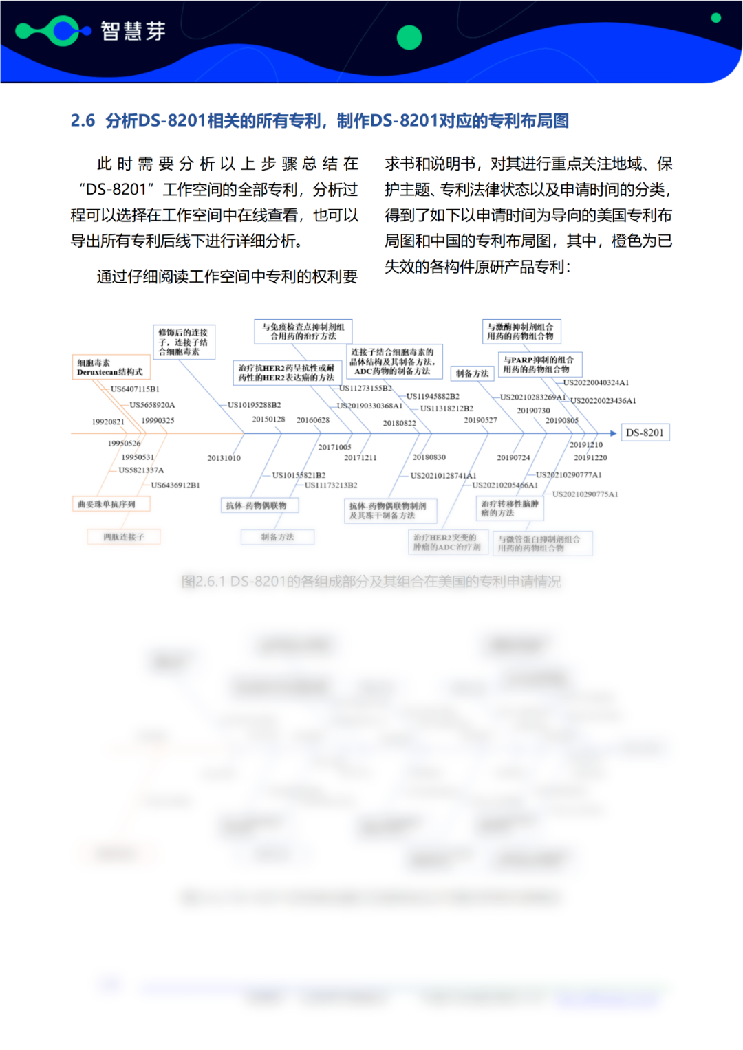 報告免費領(lǐng)取 | 第一三共DS-8201專利調(diào)研實務(wù)指南