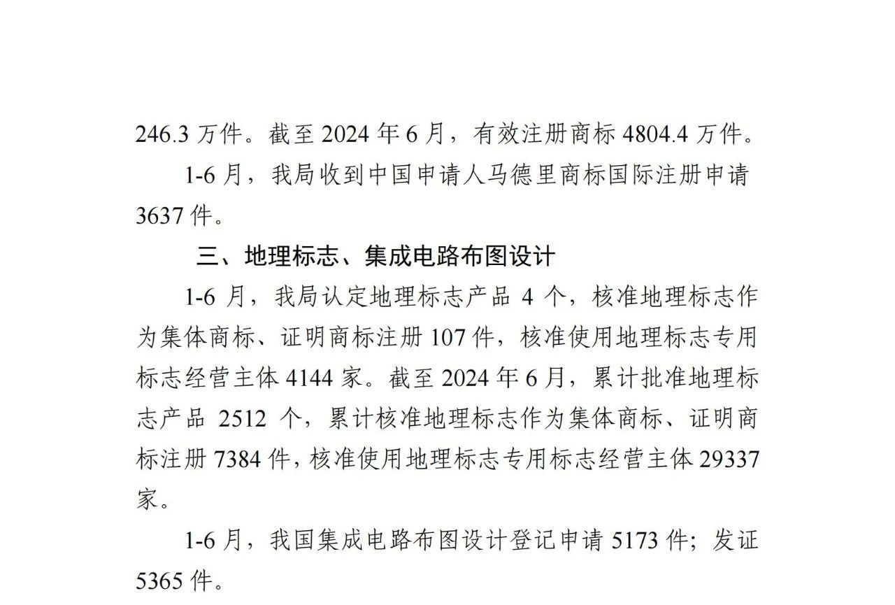 2024年1-6月專利、商標、地理標志等知識產(chǎn)權(quán)主要統(tǒng)計數(shù)據(jù) | 附數(shù)據(jù)詳情