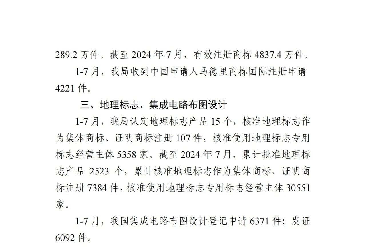 2024年1-7月專利、商標(biāo)、地理標(biāo)志等知識(shí)產(chǎn)權(quán)主要統(tǒng)計(jì)數(shù)據(jù) | 附數(shù)據(jù)詳情